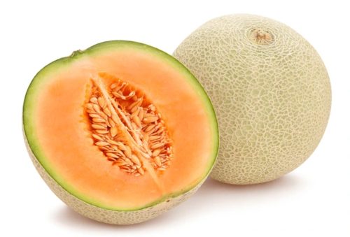 Cantaloupe Chronicles: Exploring the Delicious World of Cantaloupe Facts